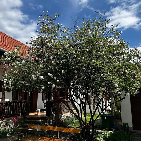 Magnolia Garden Appartement Miskolc Buitenkant foto
