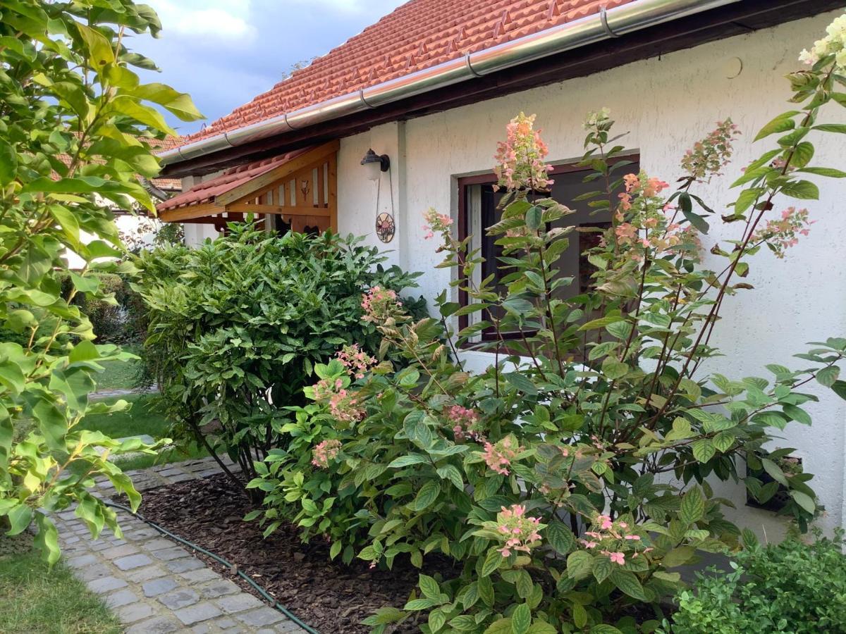 Magnolia Garden Appartement Miskolc Buitenkant foto