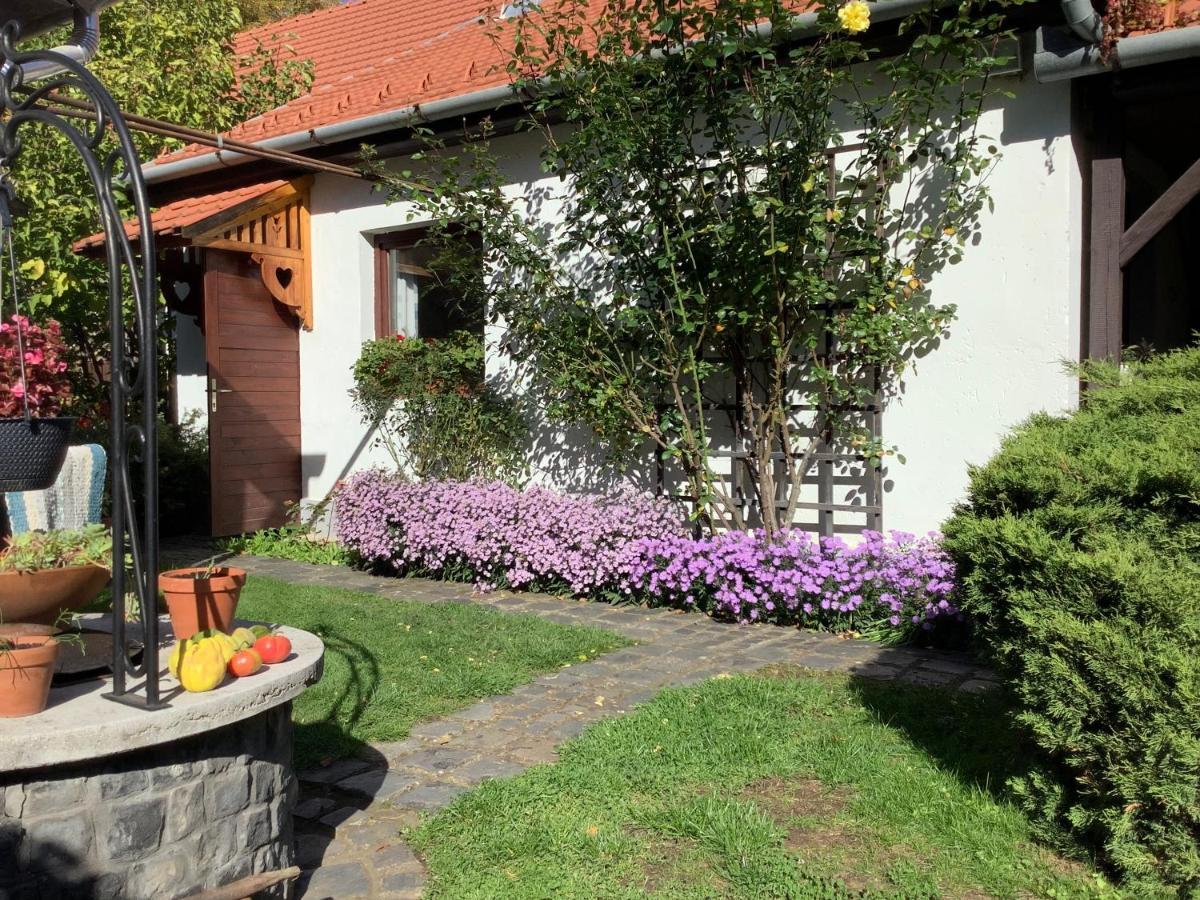Magnolia Garden Appartement Miskolc Buitenkant foto