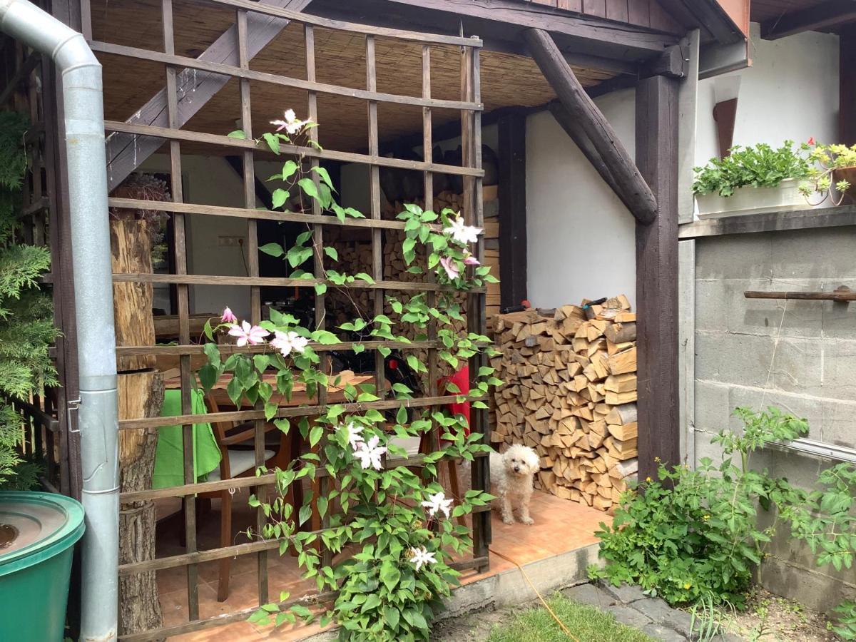 Magnolia Garden Appartement Miskolc Buitenkant foto