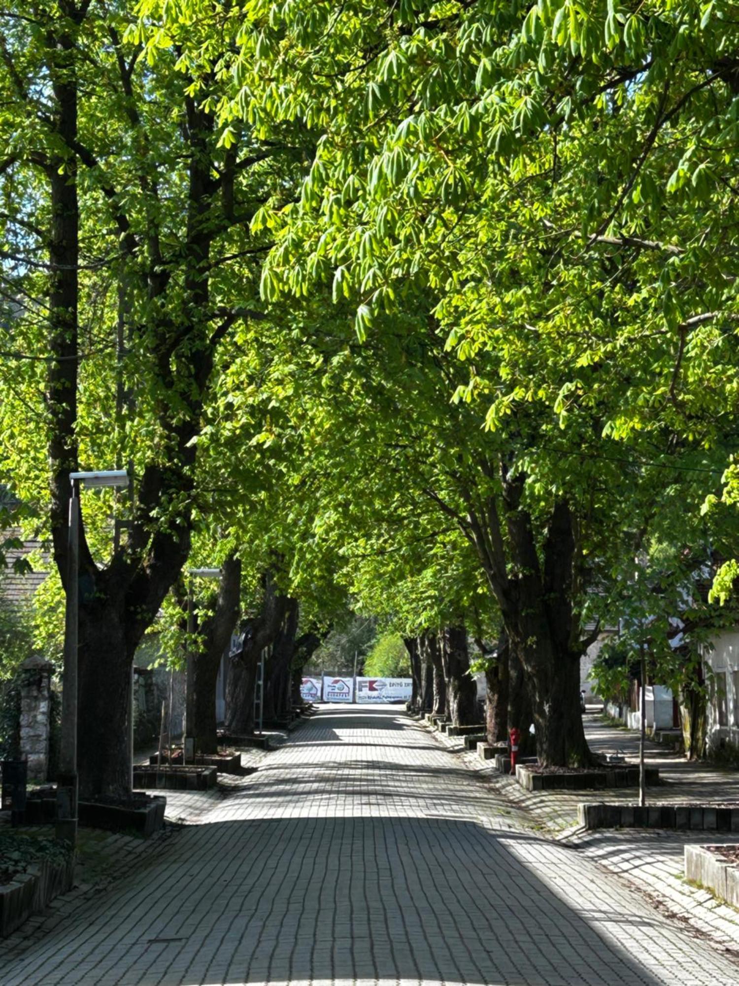 Magnolia Garden Appartement Miskolc Buitenkant foto